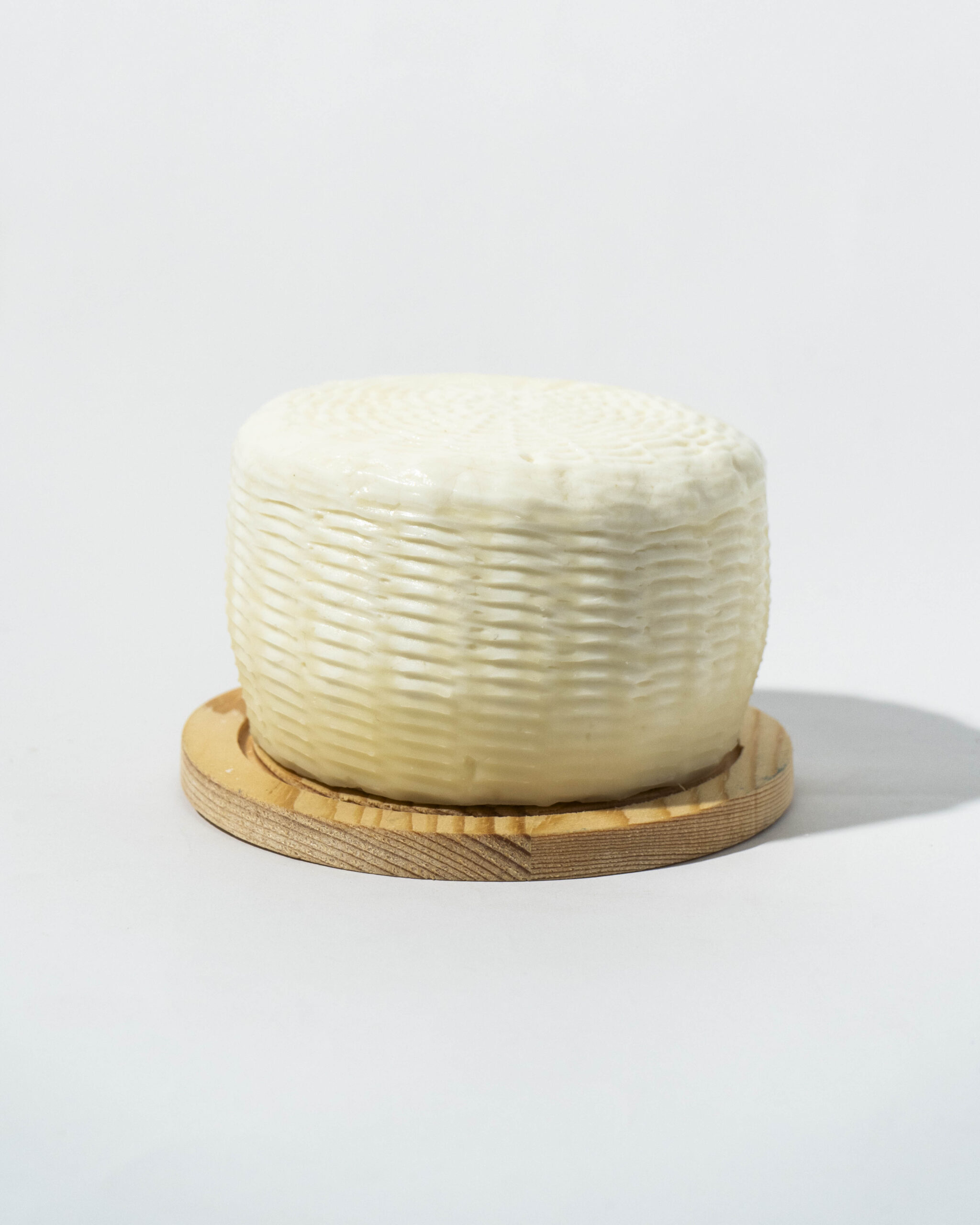 caciotta